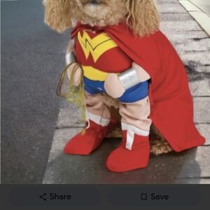 🍁Wonder Woman pet costume Size small